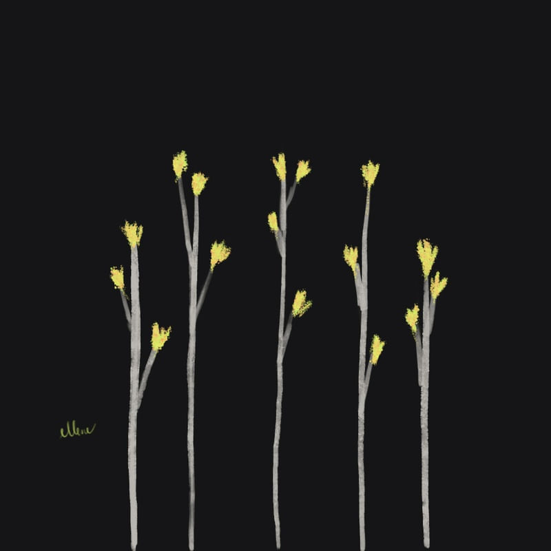 FLORZINHAS ELEGANTES