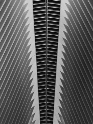 OCULUS 03