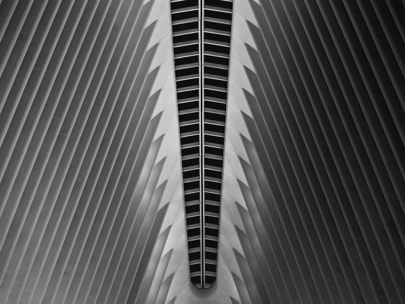 OCULUS 04