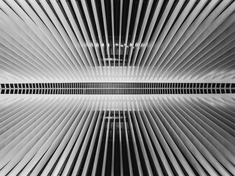 OCULUS 06