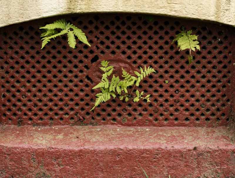 RESPIRADOURO SUBTERRÂNEO