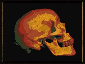SIDE GOLD RED AND GREEN SKULL