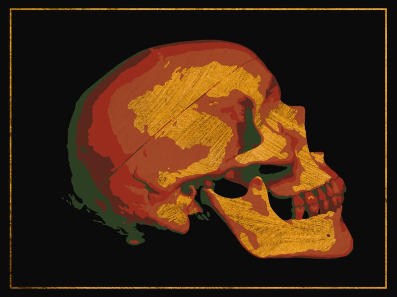 SIDE GOLD RED AND GREEN SKULL