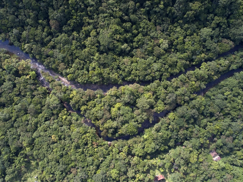SERRA DO MAR II