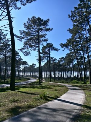 BEACH WAY