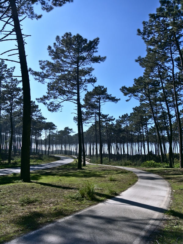 BEACH WAY