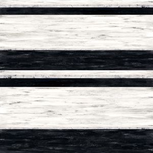 FAIRWEATHER FRIENDS 4, PRETO E BRANCO