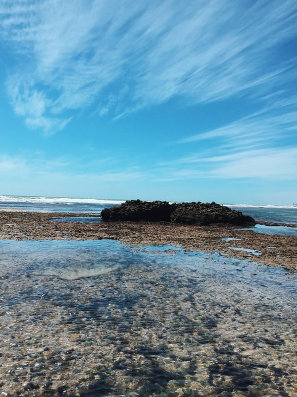 CORAIS NO MAR