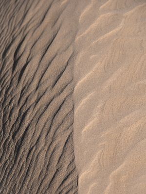 DUNE 3