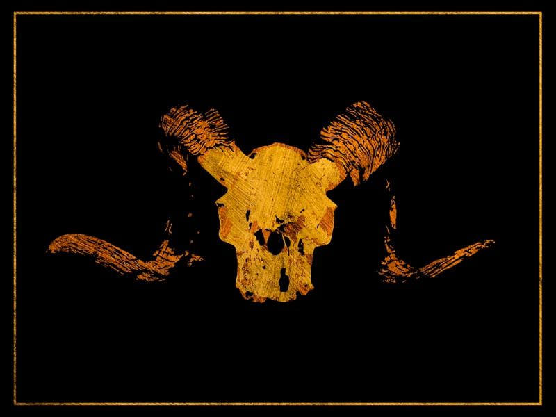 GOLDEN RAM SKULL
