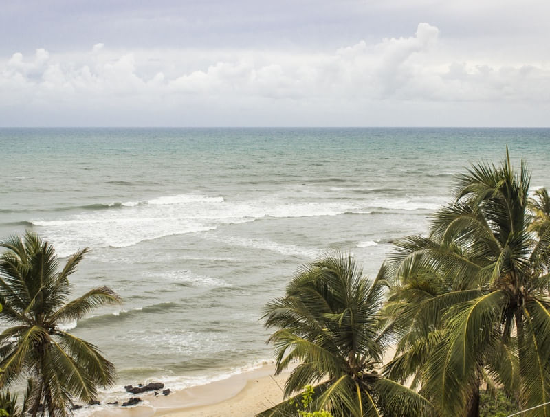 COQUEIROS, MAR E NUVENS