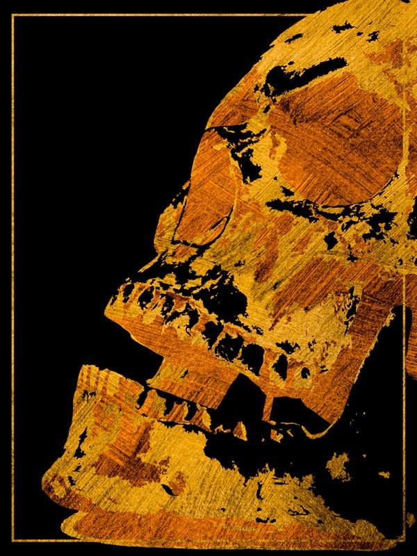 GOLDEN SKULL'S PORTRAIT