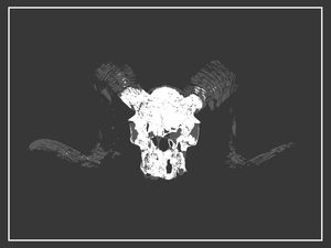 BLACK AND WHITE RAM SKULL