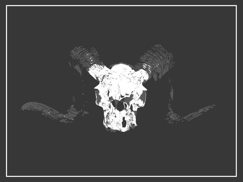 BLACK AND WHITE RAM SKULL