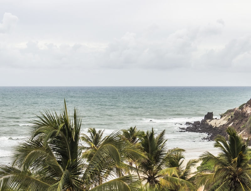 COQUEIROS E MAR