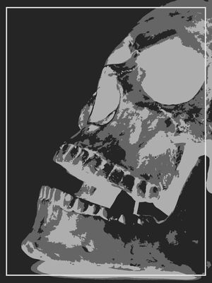 BLACK AND WHITE SKULL'S PORTRAIT
