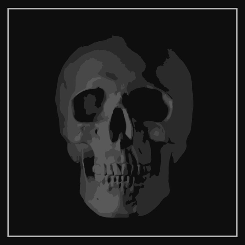 GREY SCALE SKULL PORTRAIT