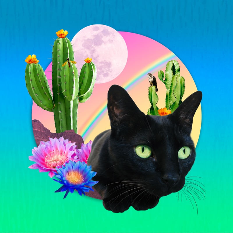 GACTUS