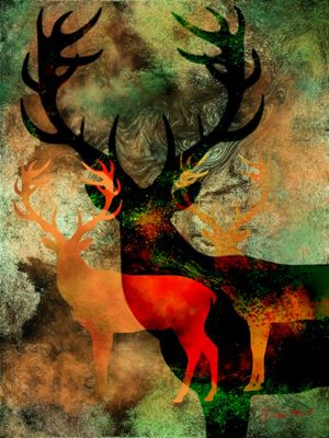 DEER 02-2020