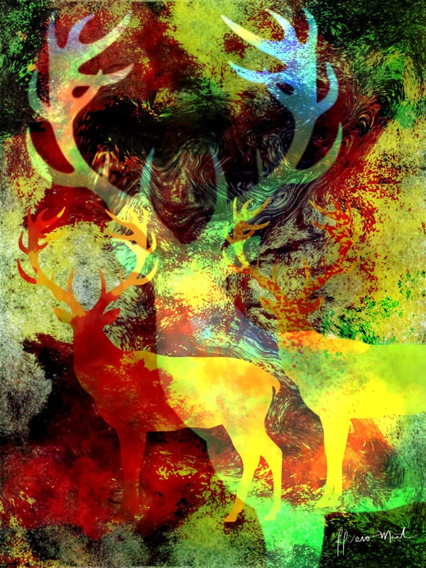 DEER 03-2020