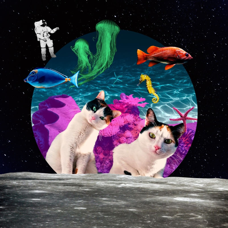 COSMIC OCEAN