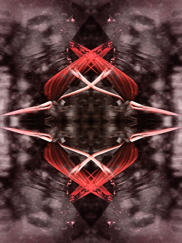 SIMETRIA OUTONAL
