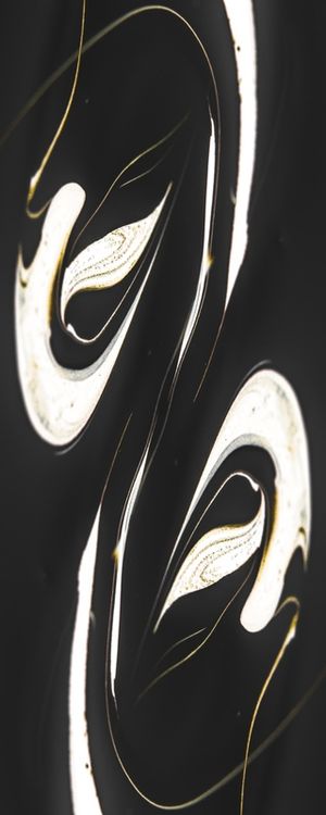 SIMETRIC GOLDEN CURVES 2