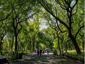 CENTRAL PARK 3