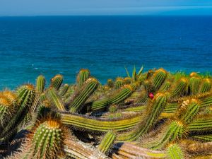 PRAIA SELVAGEM #2