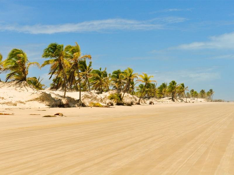 DUNAS DE MANGUE SECO