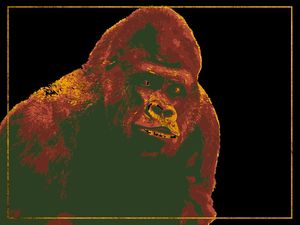 RED, GOLD AND GREEN GORILLA