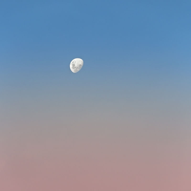 MOON SUNSET