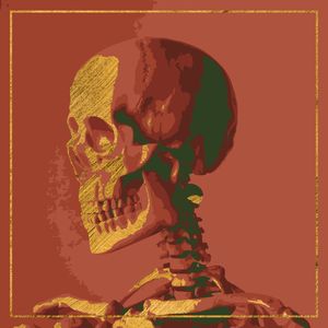 RED, GOLD AND GREEN SIDE LOOKING SKELETON