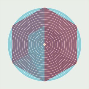 CIRCLE HEXA 02