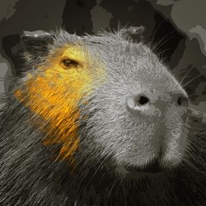 GODEN CAPYBARA