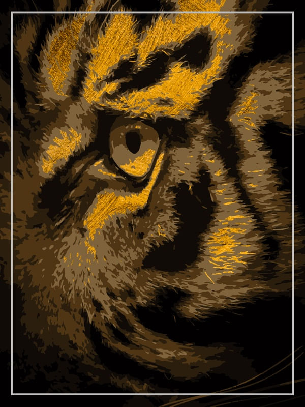 TIGER'S EYE 1