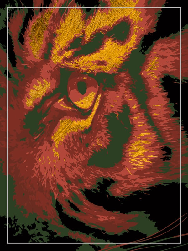 TIGER'S EYE 2