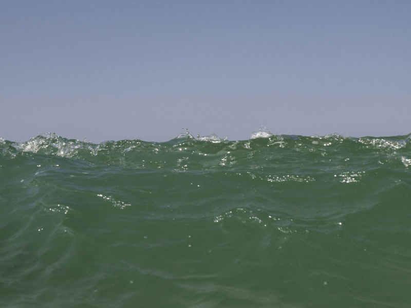 O MAR X