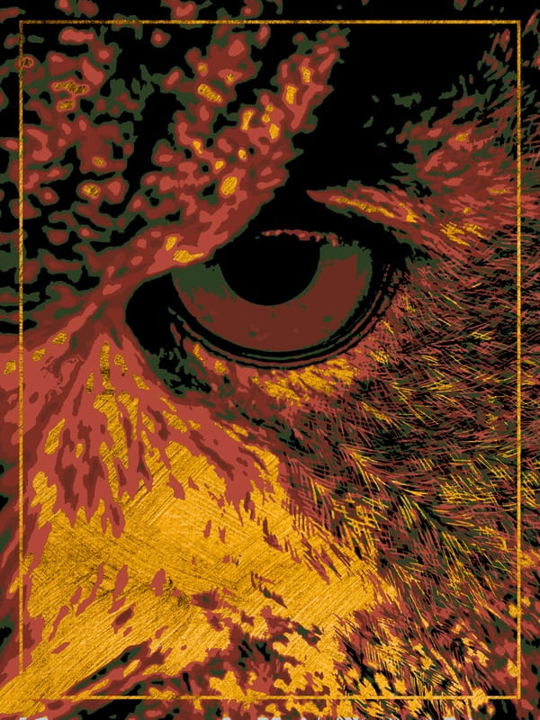 OWL'S EYE
