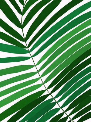 PLANTA TROPICAL II