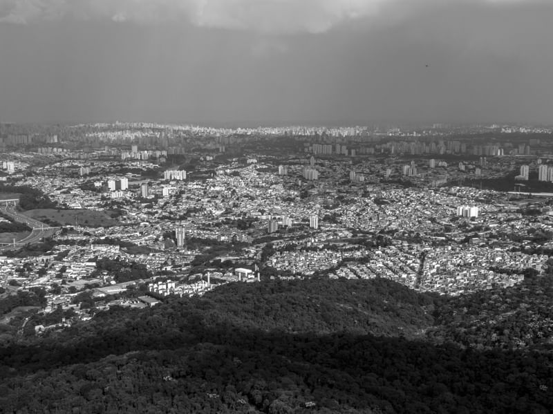 A SELVA E O CONCRETO