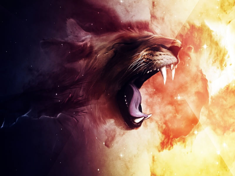 LION EFFECTS