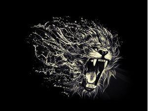 LIONS EFFECTS