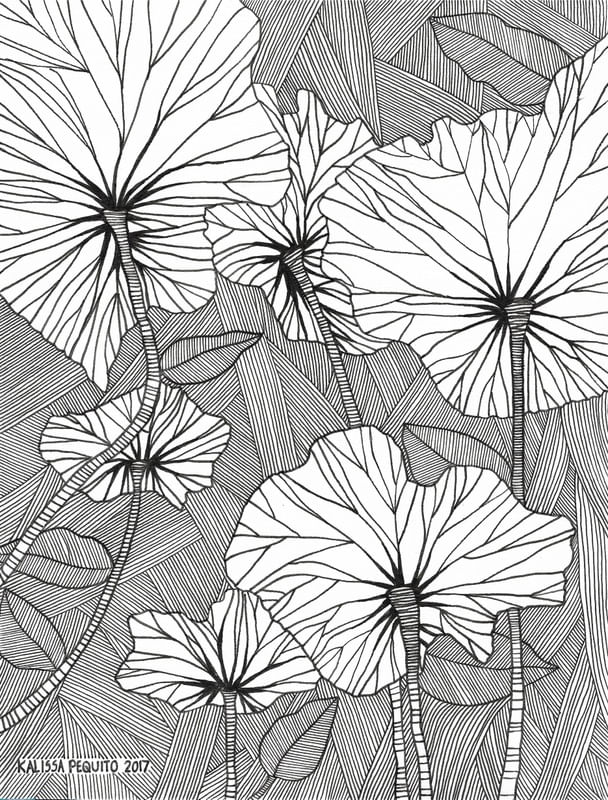 BW FLOWER LINE