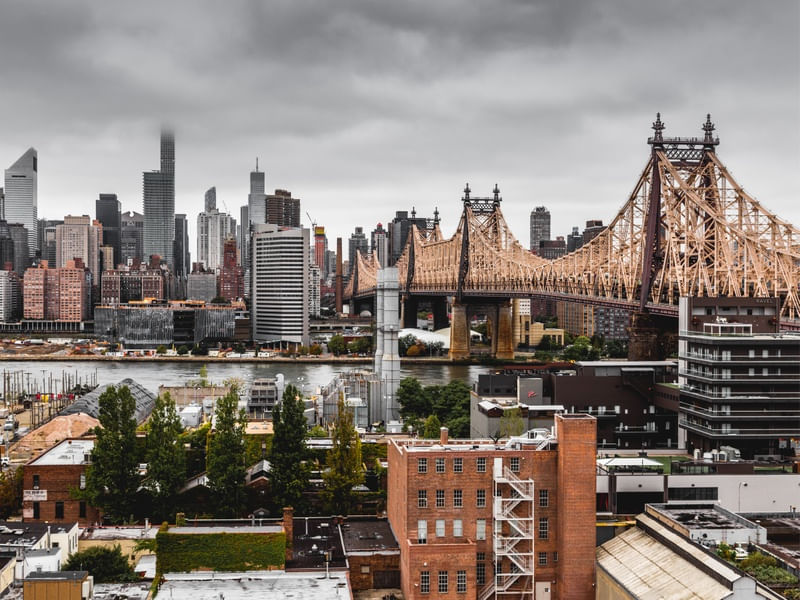 NY BRIDGE 03