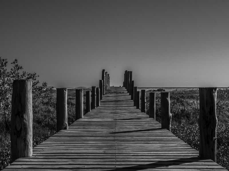 PONTE PRAIA DO PÈCEM_CE_PNW