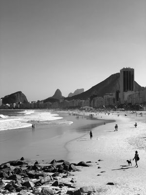 O LEME