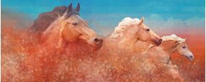 SAVAGE HORSES