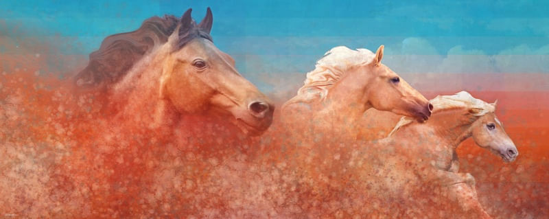 SAVAGE HORSES