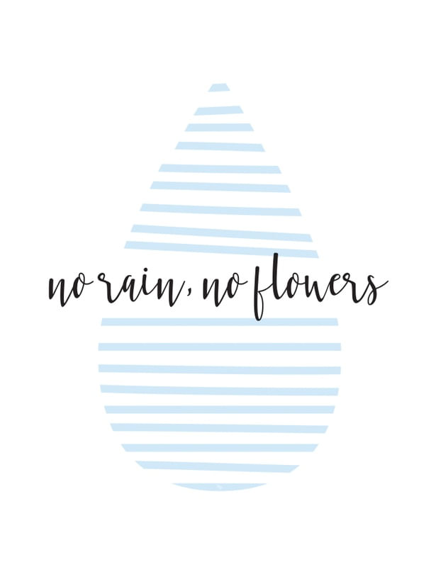 NO RAIN
